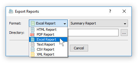 DupScout Batch Reports Format
